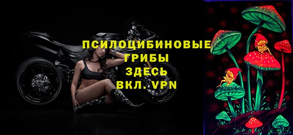 трава Нязепетровск